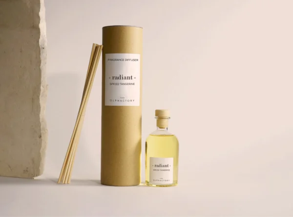Ambientair Radiant Spice Tangerine Mikado-250ML