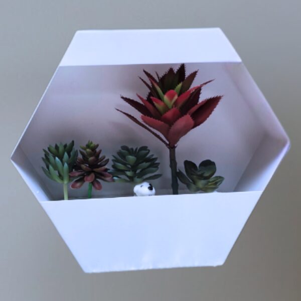 Soliel Wall Light-White
