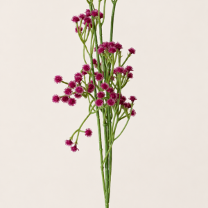 Aster Flower-Burgundy