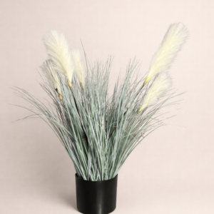 Arctic Plume Grass