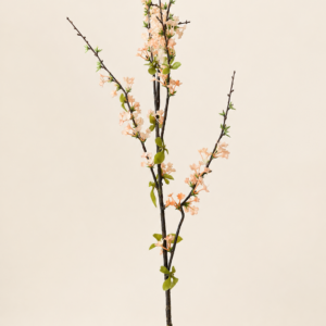 Sakura Branch-Soft Champagne